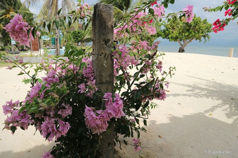 Villa Dos Palmas Island Resort & Spa