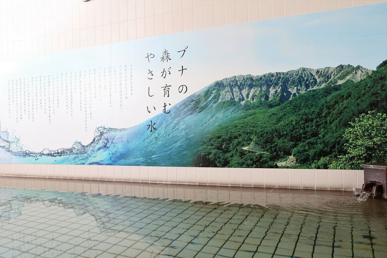 Hotel Kyukamura Oku-daisen