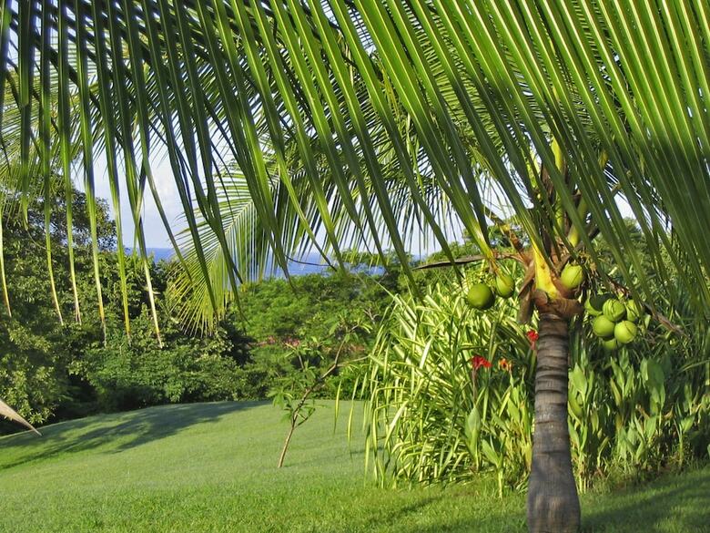 Hotel Guacamaya Lodge