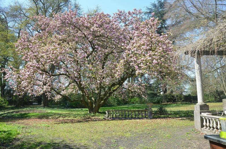 Hotel La Gentilhommi�re Du Ch�teau de Ragnies