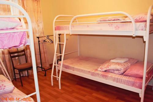 The Red Cat Hostel