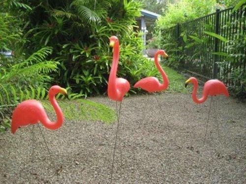 Hotel Pink Flamingo Resort
