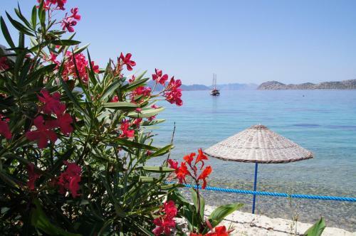 Hostal Mavi Akvaryum Pension