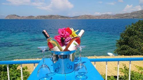 Hostal Mavi Akvaryum Pension