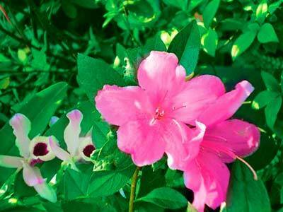 Hotel Portal Del Sol