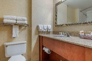 Hotel Comfort Inn Arlington Heights  Chicago