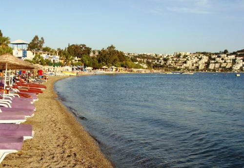 Tuseta Kaynak Apart