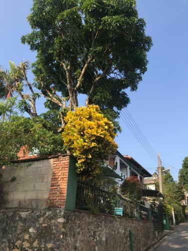 Hotel Amigo S Home Stay