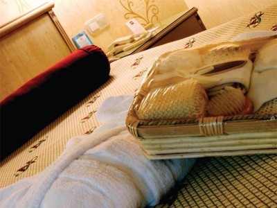 Hotel Neva Palas