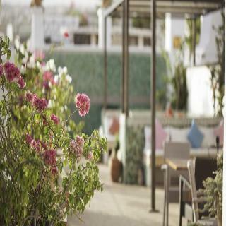 Hotel Palais Amani