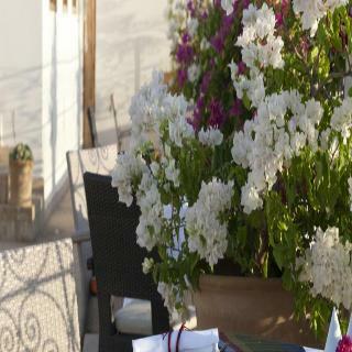Hotel Palais Amani