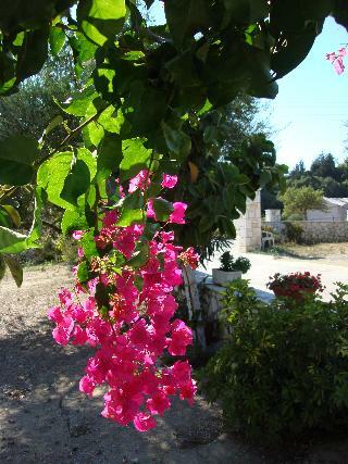 Hotel Villa Kapnisi