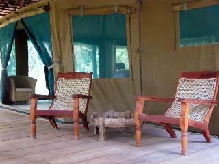 Hotel Selous Wilderness Camp