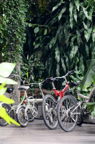 Hotel Kireethara Boutique Resort