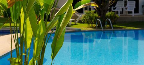 Hotel Club Mango