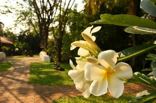 Hotel Secret Garden Chiangmai