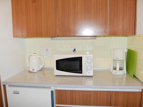 Apartment Rosablanche III Siviez