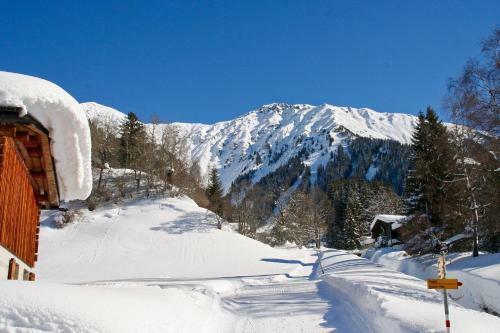 Monami Apartments Klosters, Apt. Villa Kunterbunt