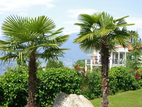 Apartamento Miralago 5