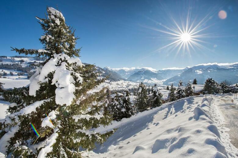 Geniesserhotel Le Grand Chalet