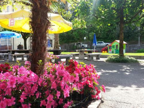 Hotel Albergo Belvedere