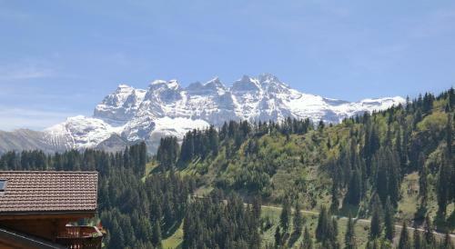 Apartamento Appartement Esserts A42