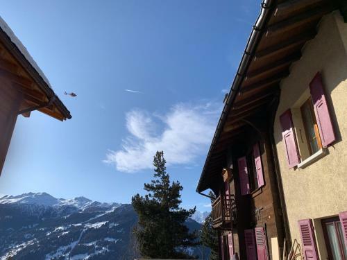 Hotel Les Touristes