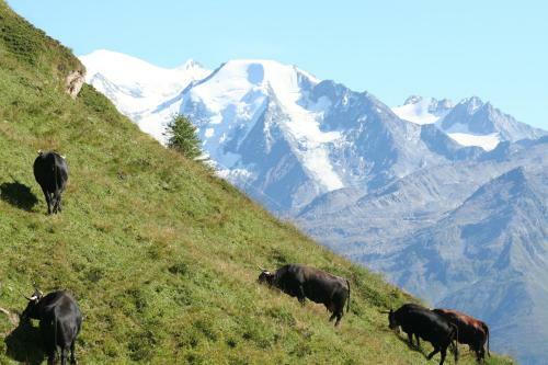 Bed & Breakfast Bnb Claudy Et Elizabeth Michellod-dutheil