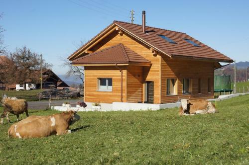 G�stehaus Myhideaway
