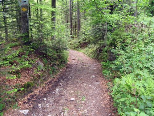 Apartamento Chalet Murmeli