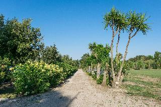 Hotel Masseria Mazzetta Salento