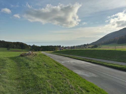 Hotel H�tel Du Chasseur