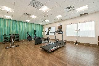 Hotel Holiday Inn Express And Suites Carrollton West