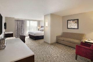 Hotel Holiday Inn Chicago - Schaumburg