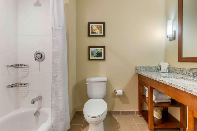 Hotel Comfort Inn Suites