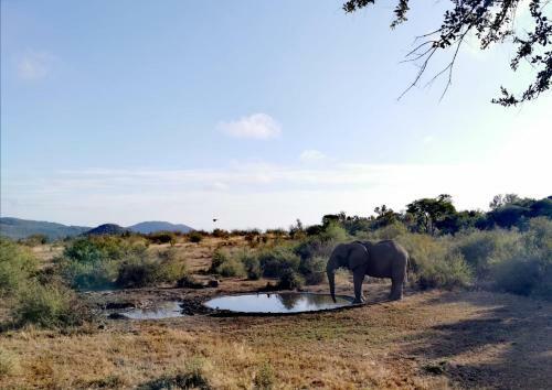 Motswiri Private Safari Lodge