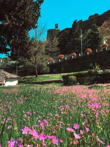 Hotel Argjiro Traditional