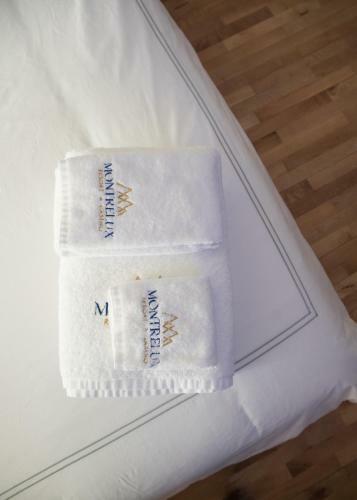 Hotel Montrelux Resort