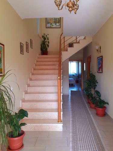 Hostal Guest House Zadeja