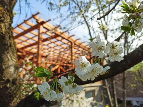 Hostal Jermatun Guest House