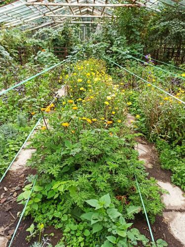 Hostal Jermatun Guest House