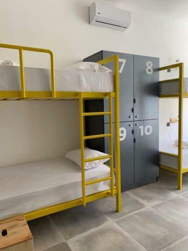 Duck Hostel