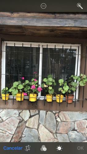 Hostal Luis?s House Ezeiza Airport