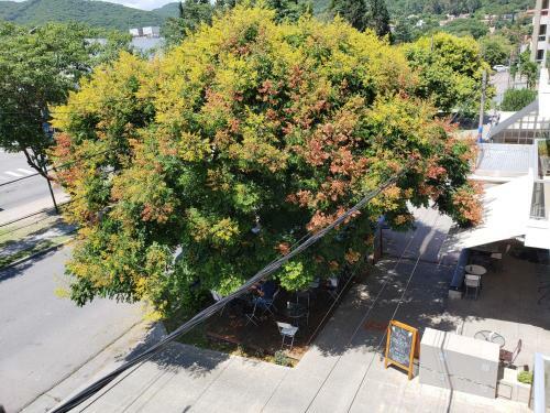 Apartamento Deluxe Reyes Cat�licos