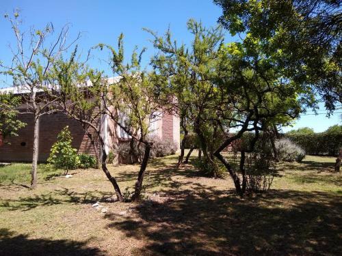 Caba�as Rayuela Y Otros Cuentos