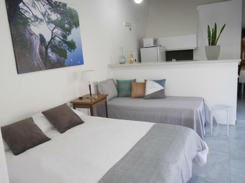 Apartamento Monoambiente Con Cochera