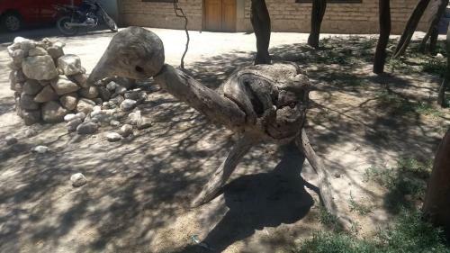 Camping Agreste El Algarrobo de Quilmes