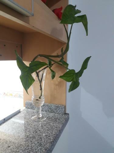 Apartamento Departamento Devoto 2 C