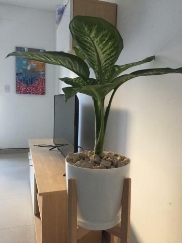 Trendy Full Apartment In Recoleta