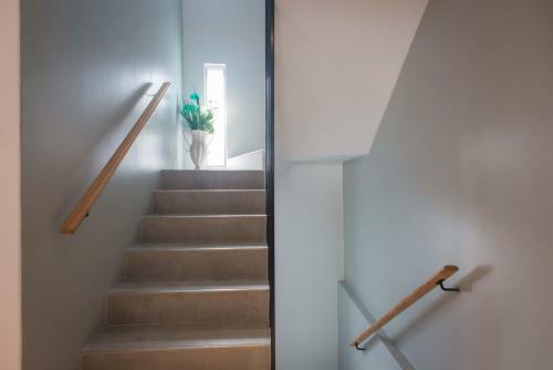 Soho Point Homes